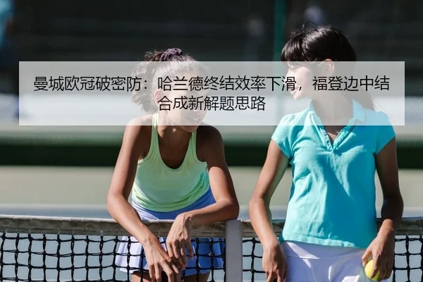 man-cheng-ou-guan-po-mi-fang-ha-lan-de-zhong-jie-xiao-lv-xia-hua-fu-deng-bian-zhong-jie-he-cheng-xin-jie-ti-si-lu-2-653.jpg